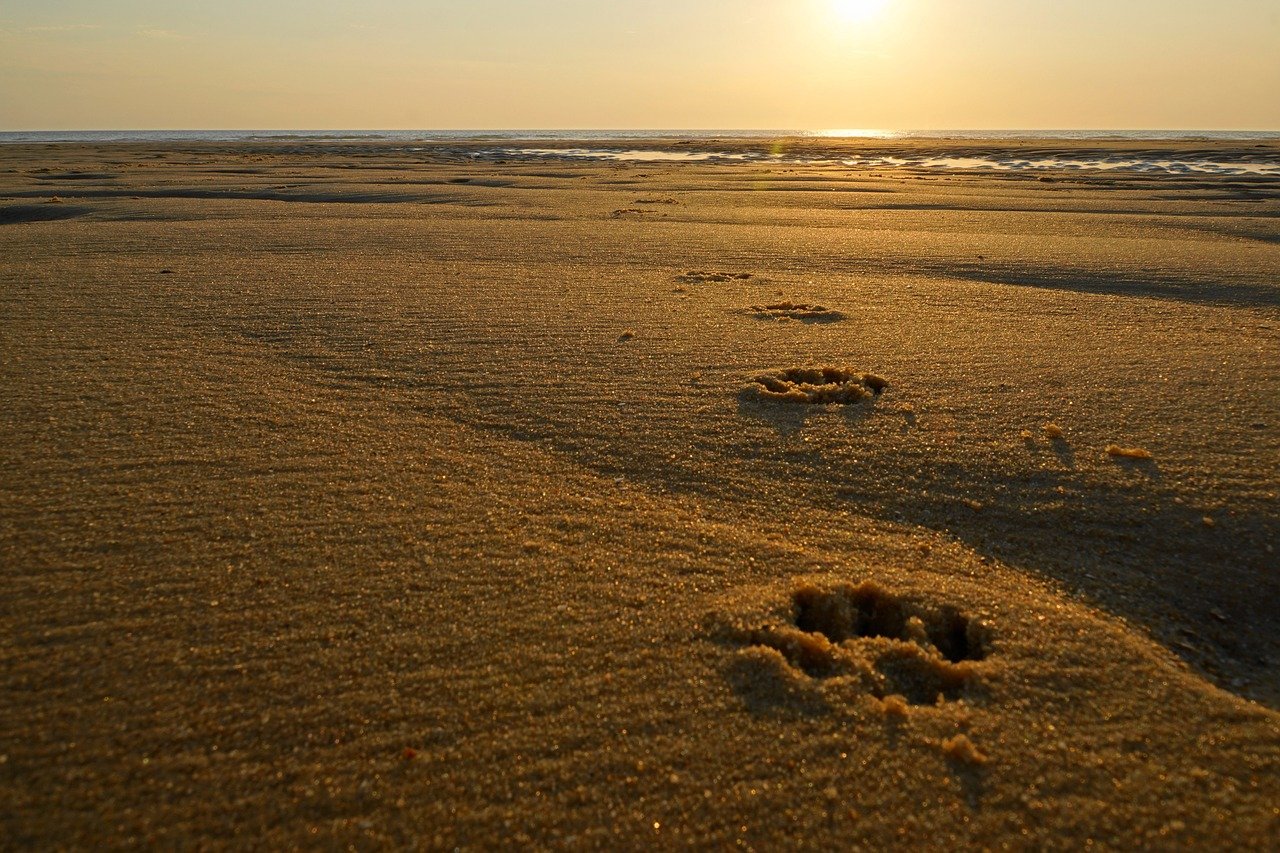 Golden Beach